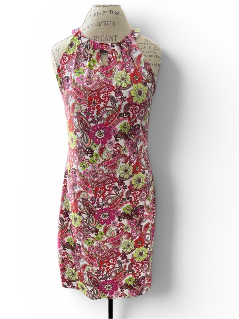 Charter Club Paisley Floral Sleeveless Dress | Medium